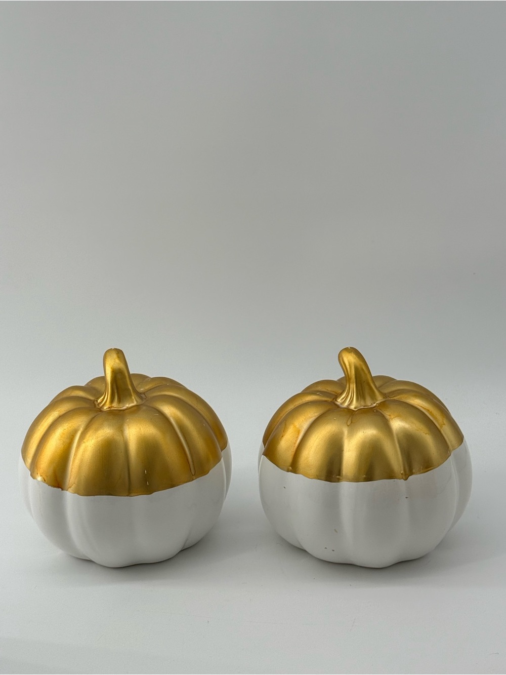 Home Accents Gold and White Pumpkin Pair Decorative Accents